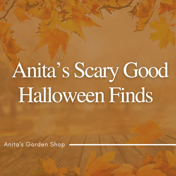✨🎃 Anita’s Scary Good Halloween Finds 🎃✨