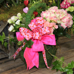 $100 Valentine's Living Arrangement Flower Basket with Bow