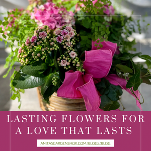 Lasting Flowers For a Love That Lasts