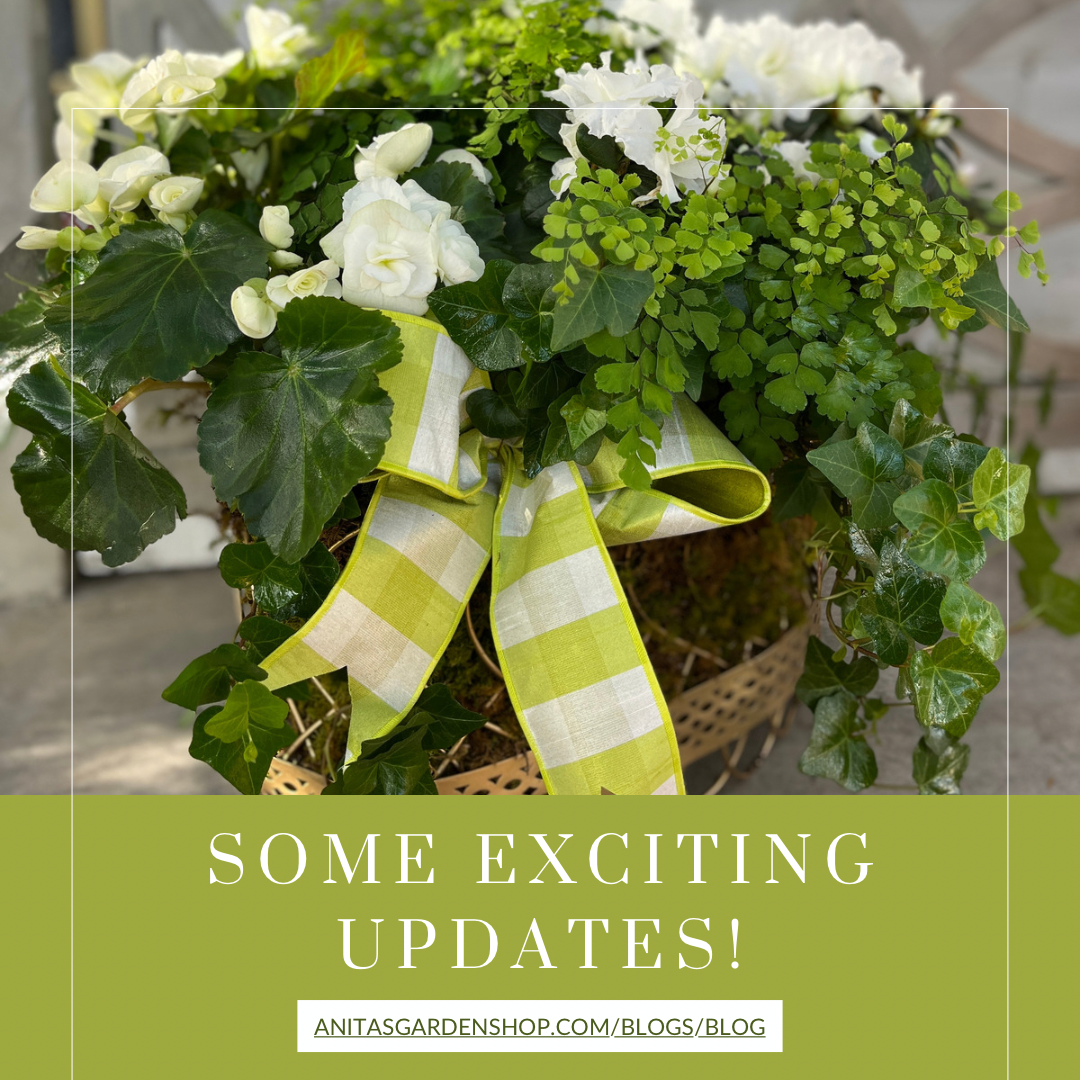 Some Exciting Updates!