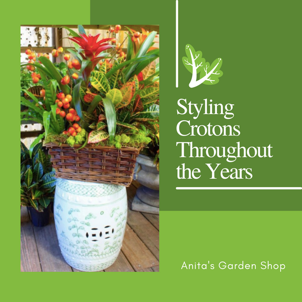 Styling Crotons Throughout the Years