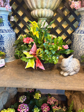 $150 Living Arrangement Flower Basket with Bow