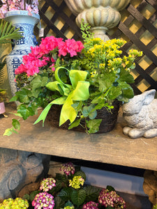 $150 Living Arrangement Flower Basket with Bow