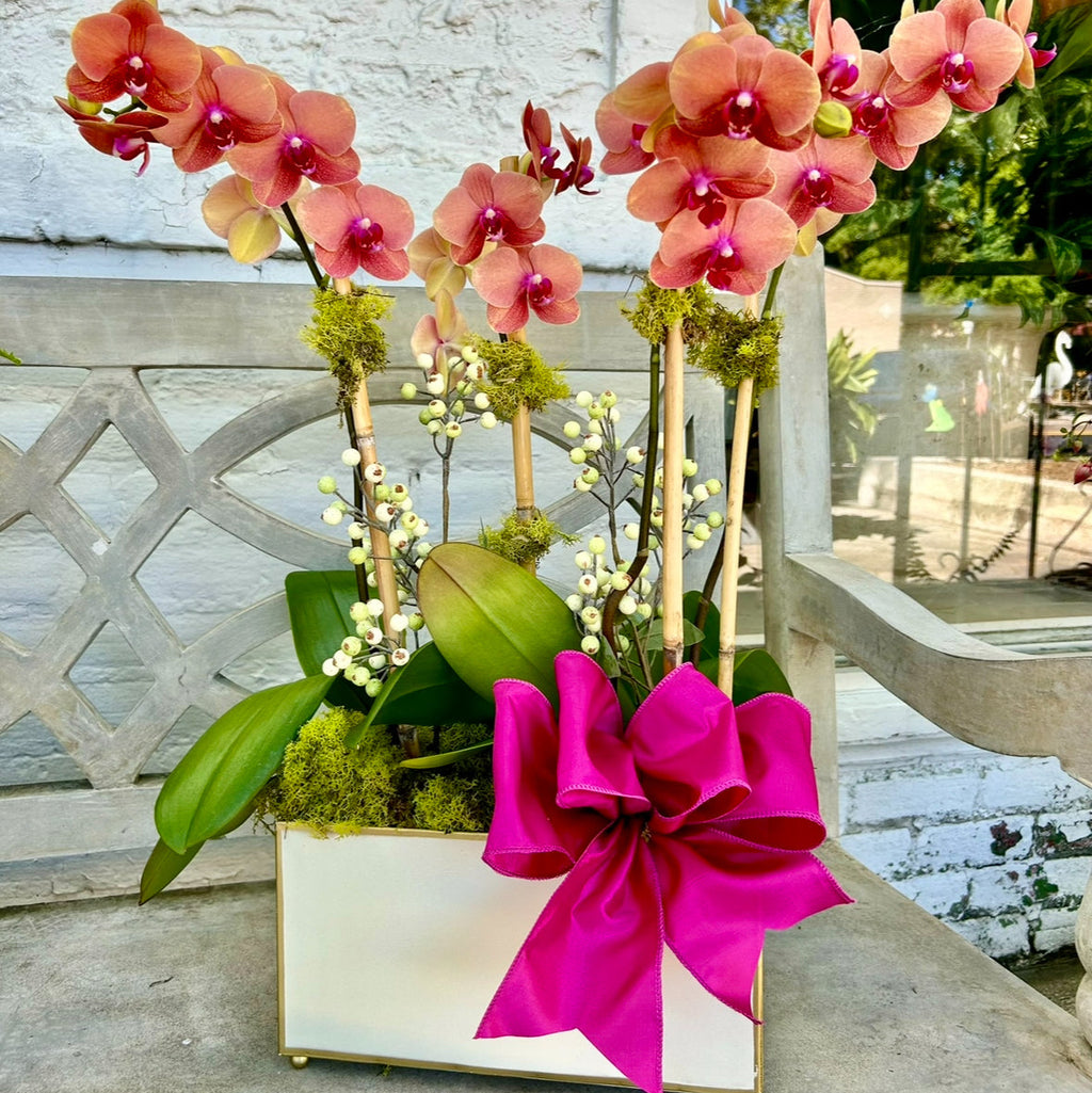 Orchid arrangement with a pink bow in a tole planter on a concrete surface.