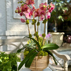 Arrangement of pink orchids in a woven basket with greenery on a table outdoors.