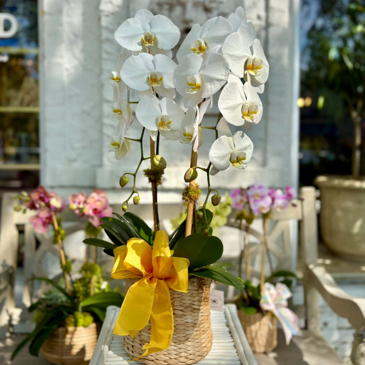 White orchids in a woven basket with a yellow bow on a table outdoors.