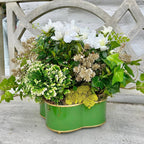 Green planter with a variety of plants on a concrete bench