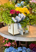 $150 Living Arrangement Flower Basket with Bow