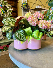$275 Living Arrangement Flower Basket with Bow