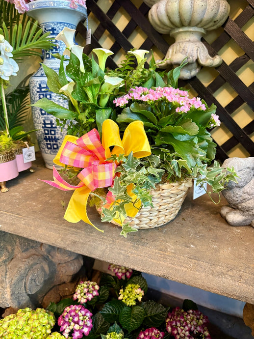 $200 Living Arrangement Flower Basket with Bow