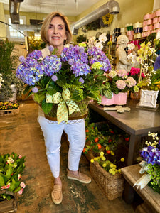 $275 Living Arrangement Flower Basket with Bow