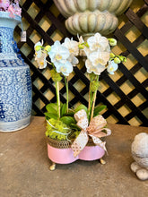 $225 Orchid Arrangement with Bow