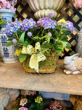$275 Living Arrangement Flower Basket with Bow
