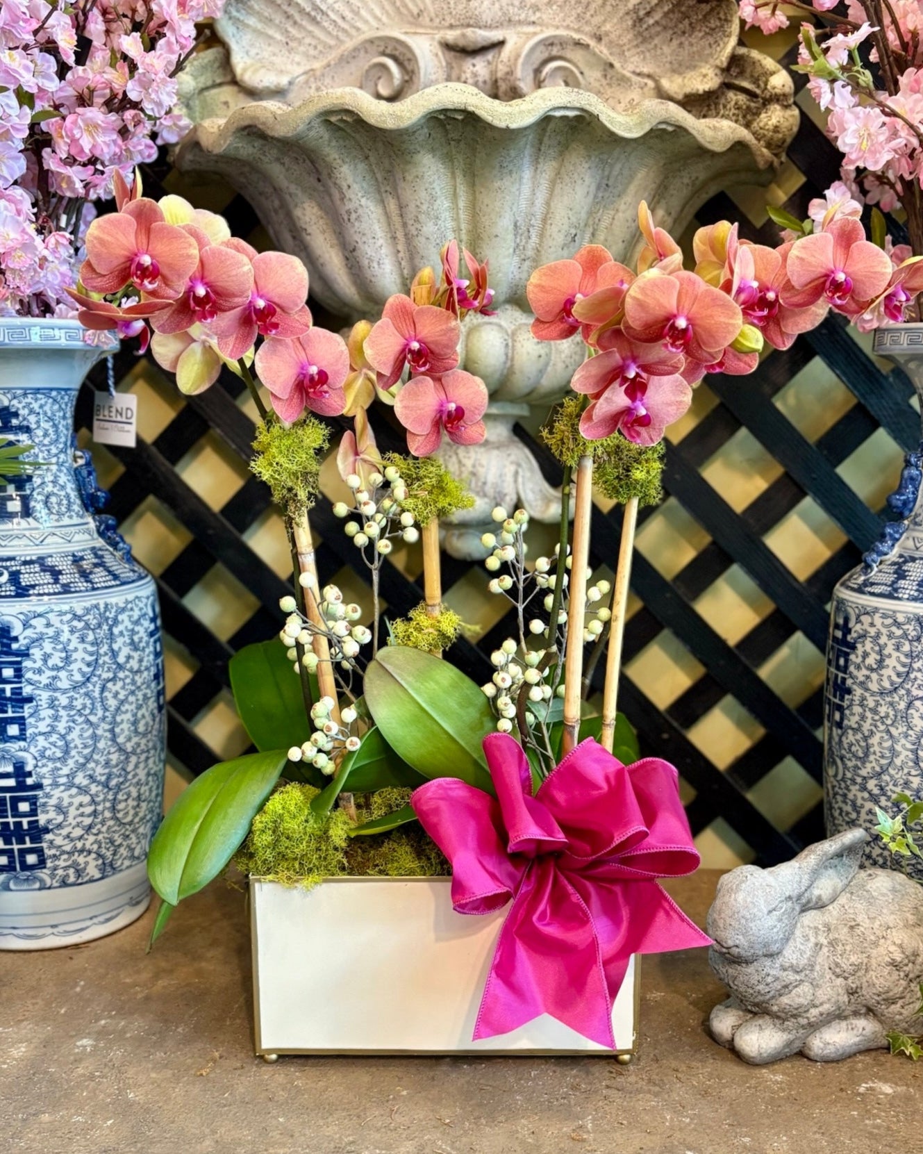 $225 Orchid Arrangement with Bow
