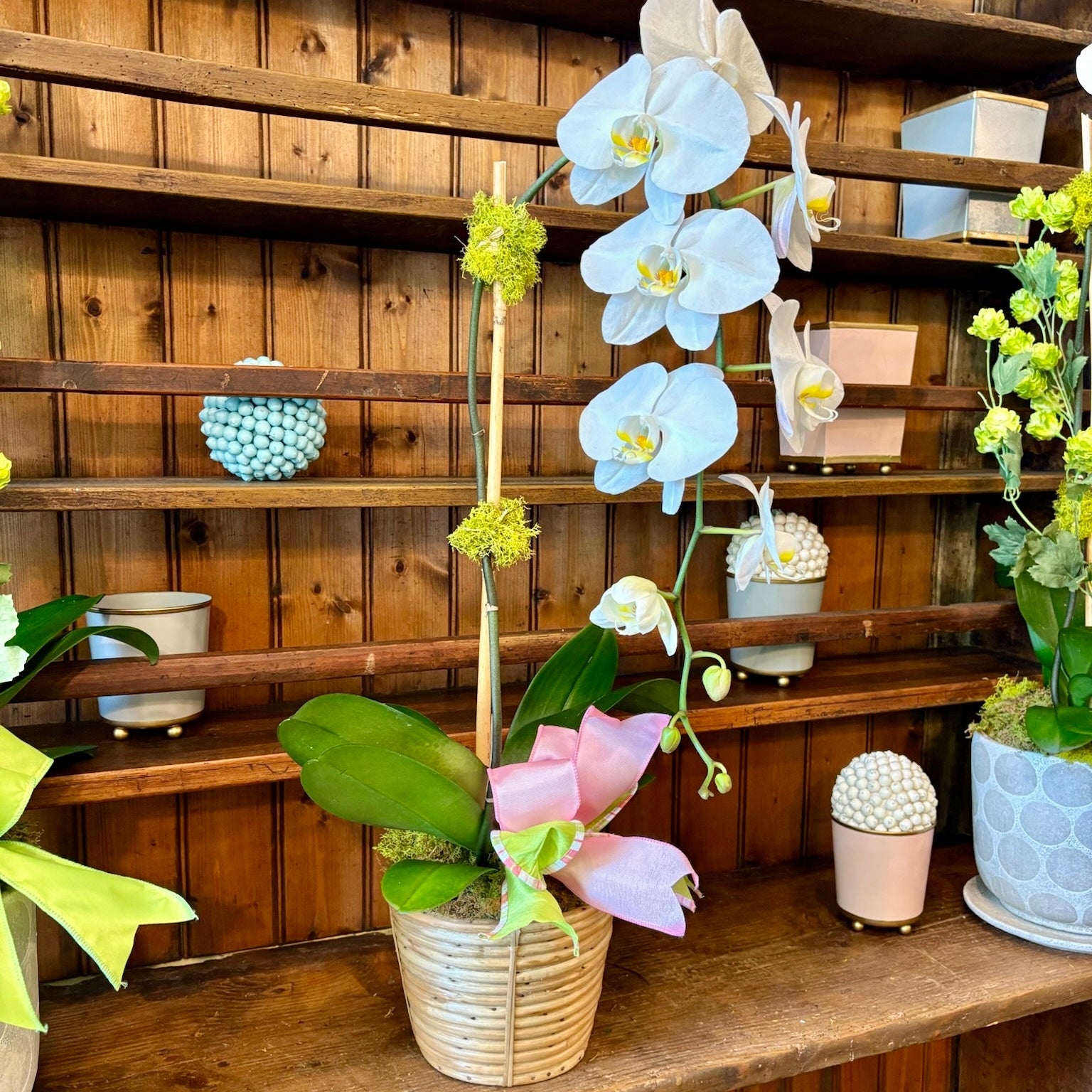 Decorative orchid plant in a woven basket on a wooden shelf with decorative items in the background.