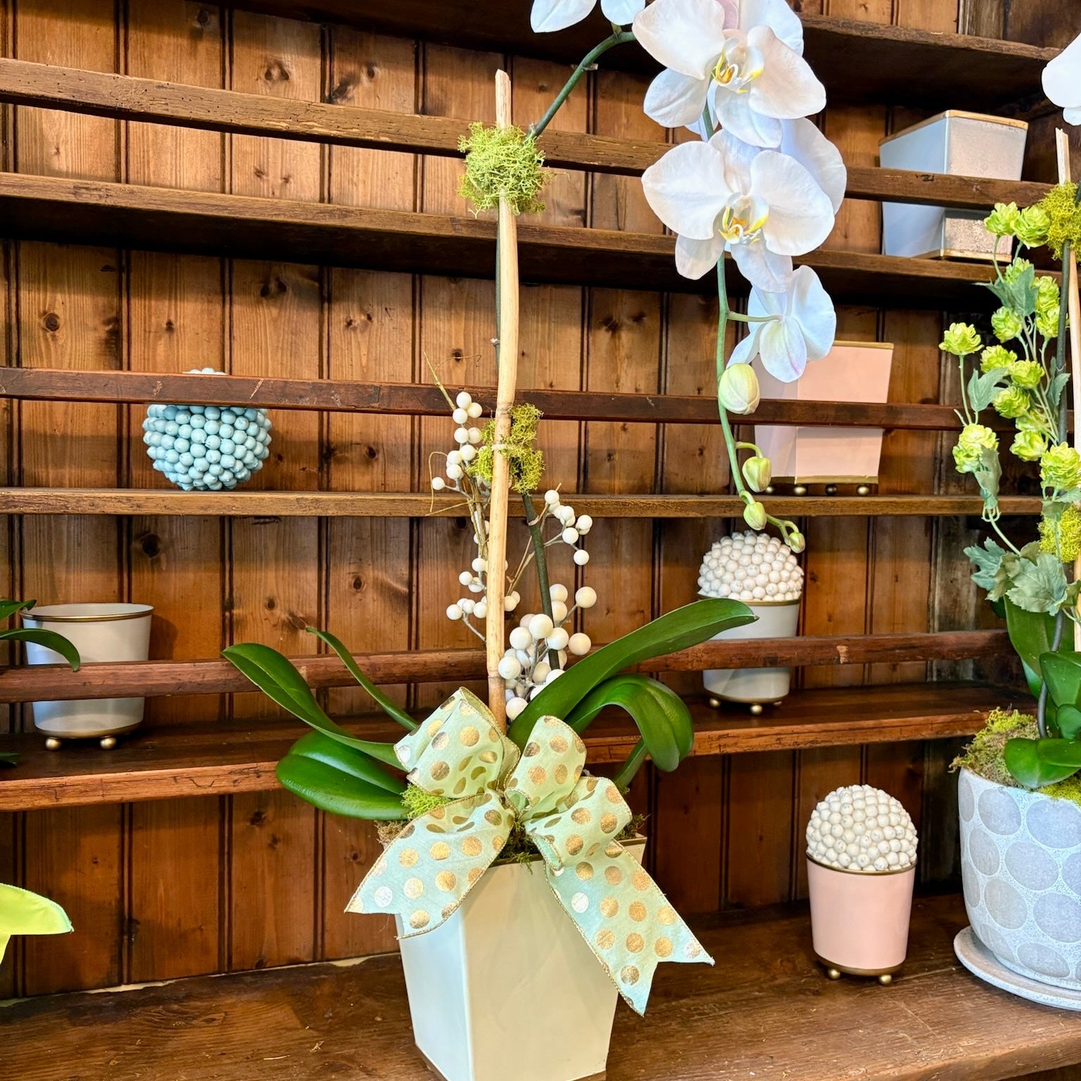 Medium Signature Orchid Arrangement