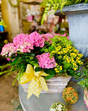 $150 Living Arrangement Flower Basket with Bow