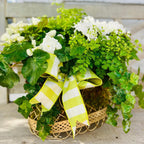 Arrangement of green and white flowers with a yellow and striped ribbon in a wire basket on a wooden surface.