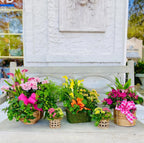 Collection of potted plants with colorful flowers and ribbons on a stone bench.