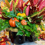 Decorative arrangement with pumpkins, leaves, and a black planter on a table.