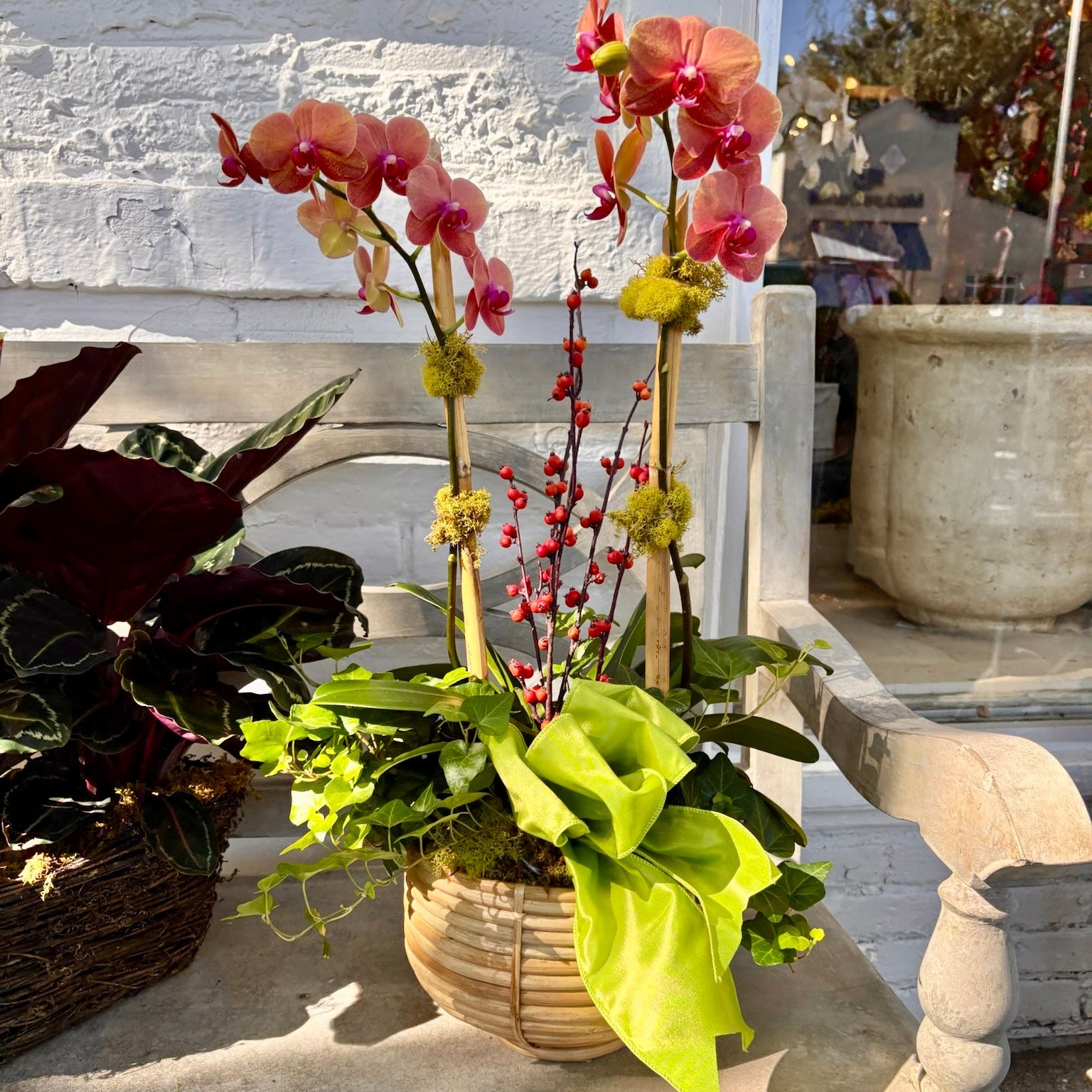 Potted pink orchids on a stone ledge