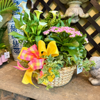 Decorative plant arrangement with a colorful bow on a concrete surface.