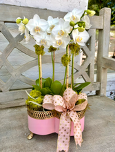 $225 Orchid Arrangement with Bow