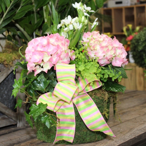 $150 Living Arrangement Flower Basket with Bow