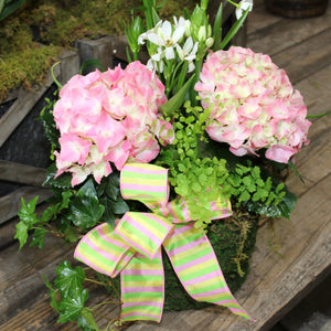 $150 Living Arrangement Flower Basket with Bow