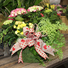 $125 Valentine's Living Arrangement Flower Basket with Bow