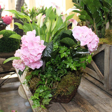 $175 Living Arrangement Flower Basket with Bow