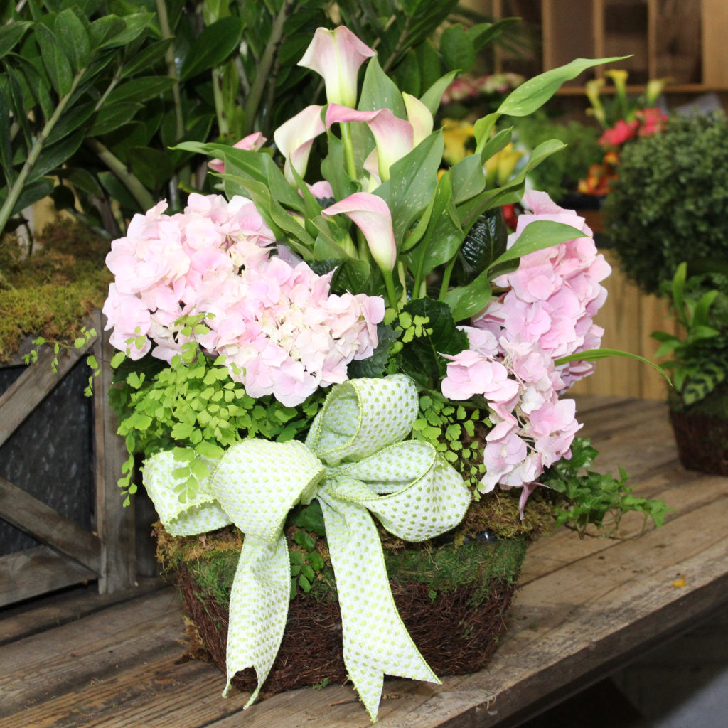 $175 Living Arrangement Flower Basket with Bow