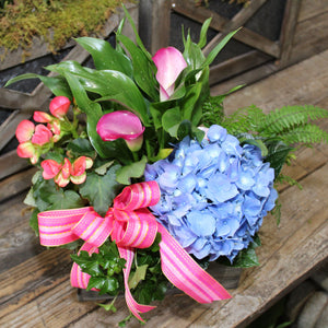 $125 Living Arrangement Flower Basket with Bow