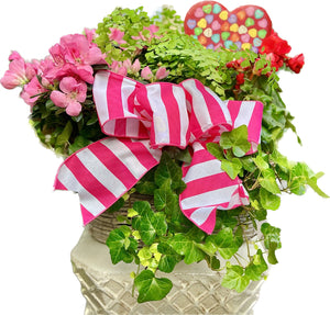 $125 Valentine's Living Arrangement Flower Basket with Bow